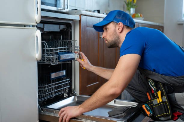 Dishwasher Repair Service in Raipur